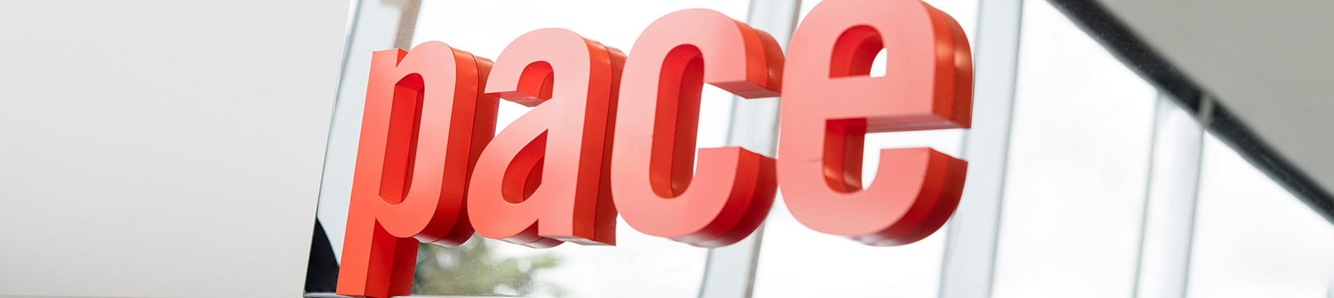 Jane WilsonBanner Image