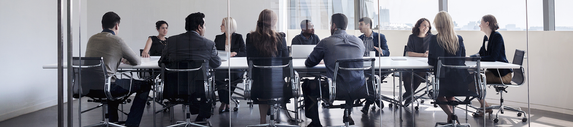 Board & ExecutiveBanner Image