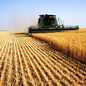 Agribusiness Image