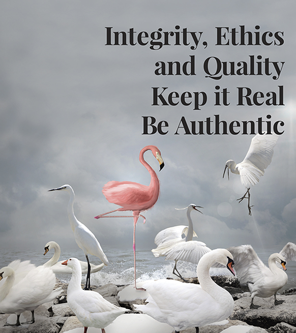 Pace Appointments Carousel Image