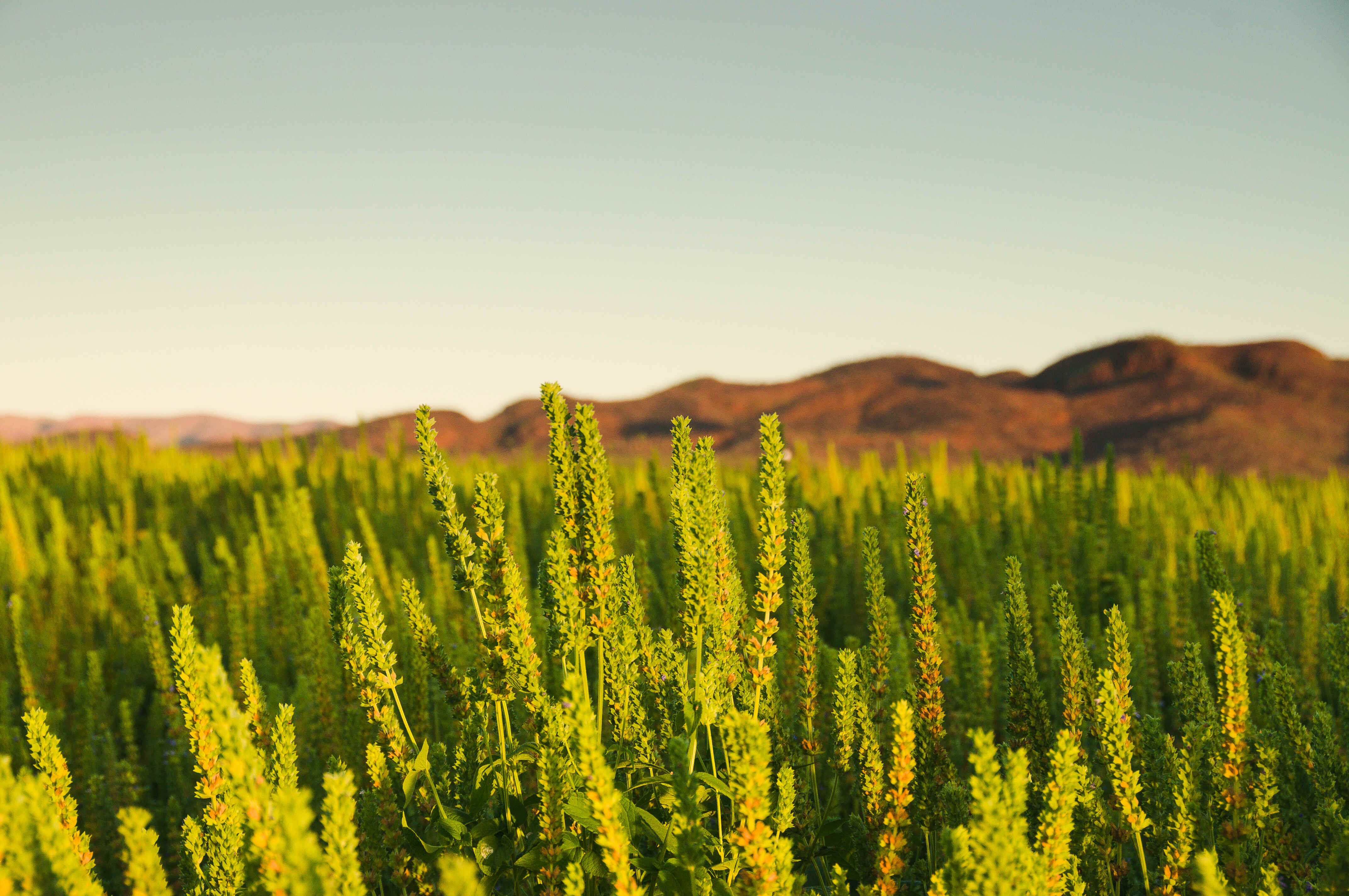 Job Seekers InfoBanner Image