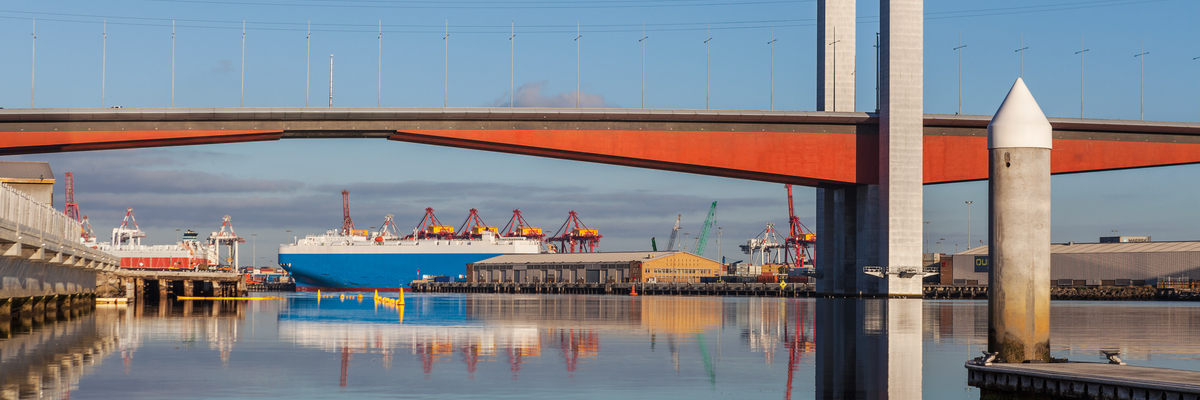 SpecialtiesBanner Image